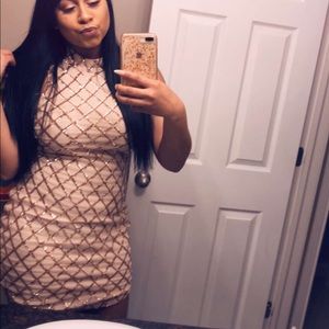 Windsor Nude Sequins Dress